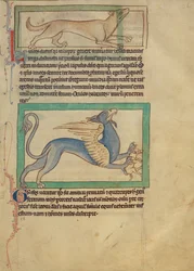 Una lince; Un grifone